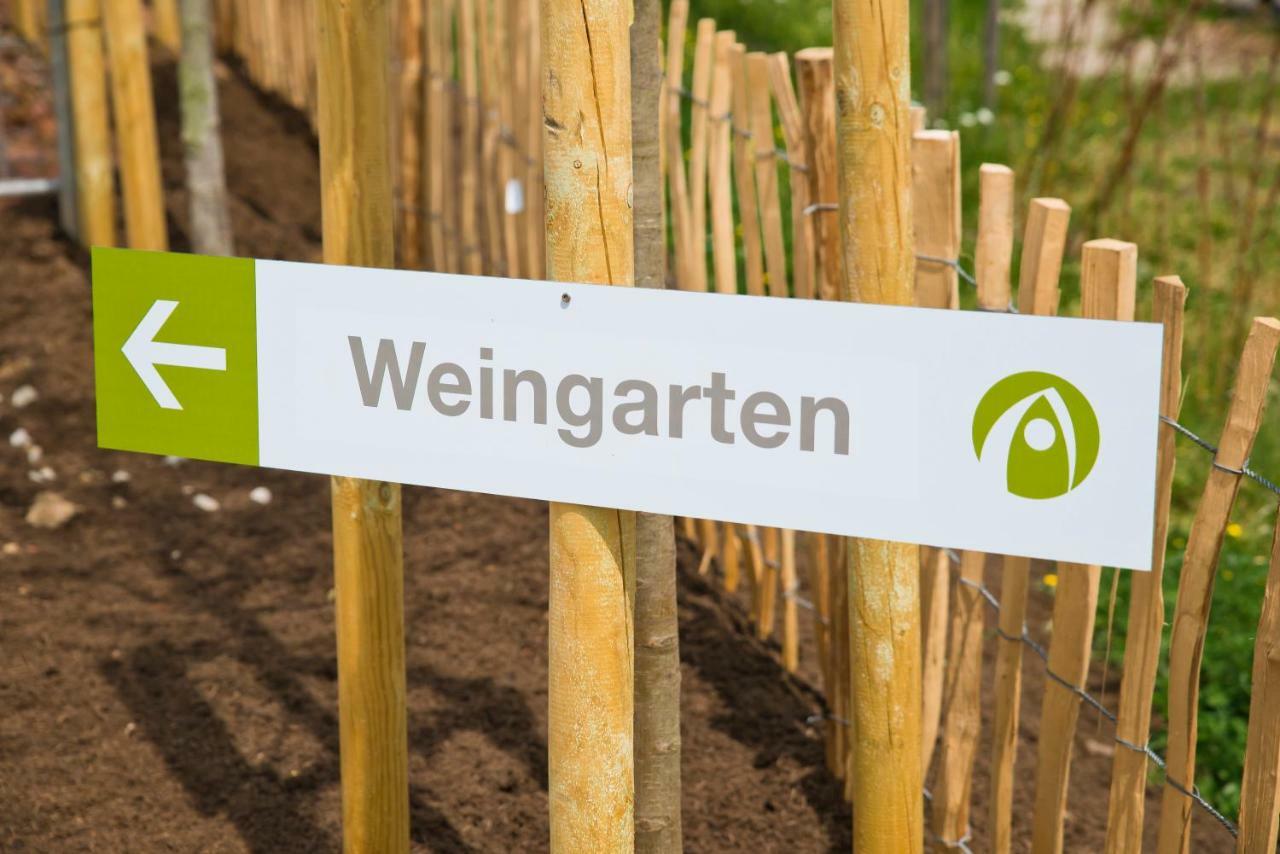 Glamping Resort Biosphaere Bliesgau Kleinblittersdorf المظهر الخارجي الصورة
